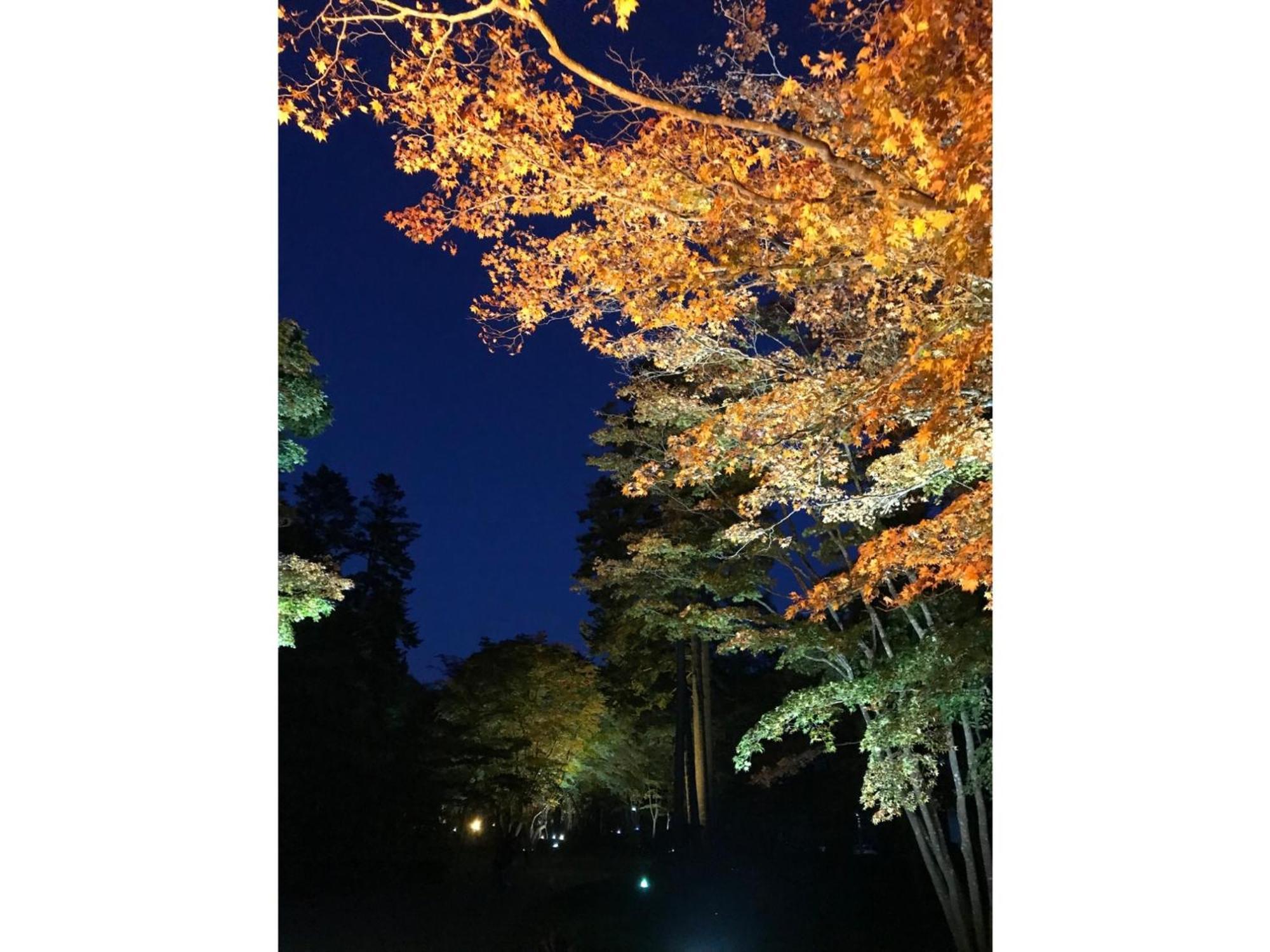 Hotel Tetora Yunokawaonsen - Vacation Stay 30623V 函館市 エクステリア 写真